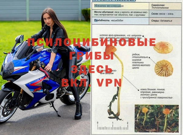 кокаин Козловка
