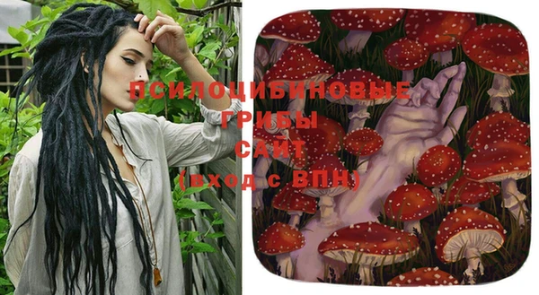 метадон Кодинск
