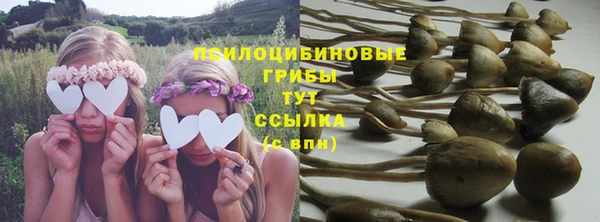 стаф Костерёво
