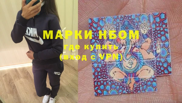 молекула духа Коряжма