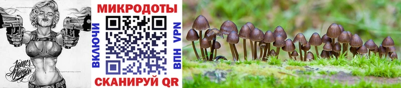 где купить наркоту  omg tor  Галлюциногенные грибы прущие грибы  Сыктывкар 