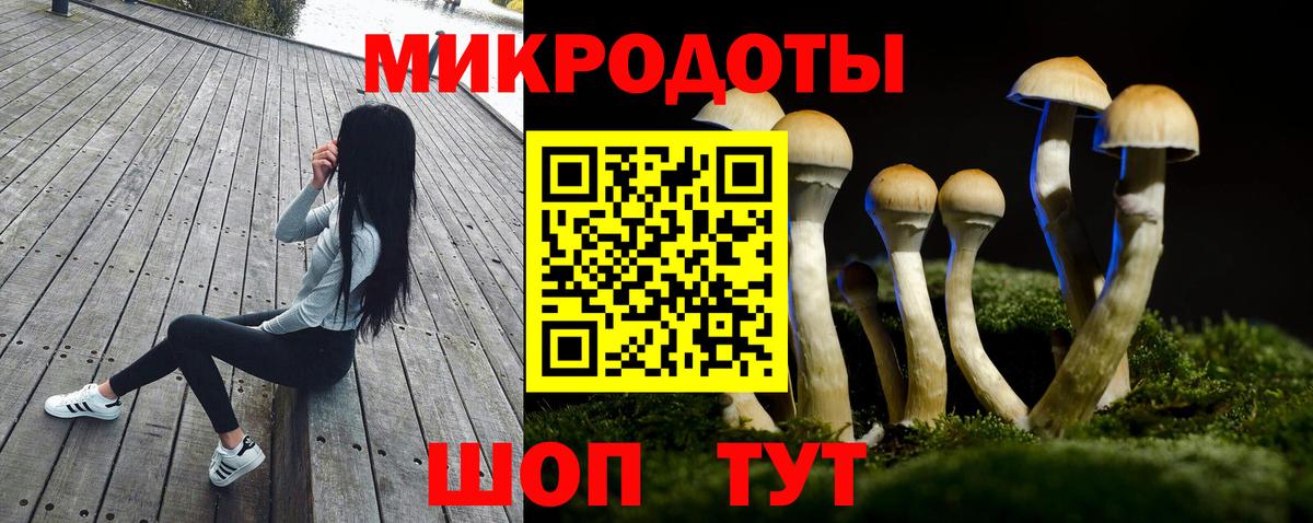 Галлюциногенные грибы мухоморы  Сыктывкар 